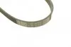 Ремень генератора с ГУР (5РК975) Daewoo Lanos/Nexia 1.5 SOHC BOSCH 1 987 947 813 (фото 5)