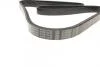 Поліклиновий ремінь BOSCH 1 987 947 821 (фото 2)