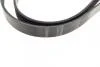 Поліклиновий ремінь BOSCH 1 987 947 834 (фото 2)