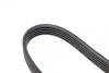 Поліклиновий ремінь (5PK1295) MERCEDES A (W168), VANEO (414), ALFA ROMEO 155, 164, TOYOTA SUPRA 1.4-3.0 01.86-07.05 BOSCH 1 987 947 871 (фото 3)