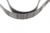 Ремень (руч.), F.-Tr. Connect, 1.8 TDCI, 2002-2013 / V-362 - V-363, 2.0 TDCI, 2015&gt;, (6 PK 1413) BOSCH 1 987 947 980 (фото 2)