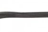 Ремень (руч.), F.-Tr. Connect, 1.8 TDCI, 2002-2013 / V-362 - V-363, 2.0 TDCI, 2015&gt;, (6 PK 1413) BOSCH 1 987 947 980 (фото 4)