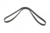 Ремень (руч.), F.-Tr. Connect, 1.8 TDCI, 2002-2013 / V-362 - V-363, 2.0 TDCI, 2015&gt;, (6 PK 1413) BOSCH 1 987 947 980 (фото 5)