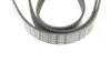 Ремень поликлиновый FORD CONNECT/MONDEO/S-MAX/GALAXY 2002-2013 (6PK1745) BOSCH 1 987 948 360 (фото 5)