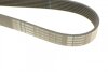 Ремень (руч.), Renault Master / Trafic - Opel Movano, 2.0 - 2.3 CDTI/DCI, 2010&gt;, (7 PK 1970) BOSCH 1 987 948 403 (фото 3)