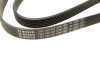 Ремень генератора Ford Focus 1.8 TDCi 05-12/Skoda Octavia/VW Lupo/Seat Arosa 1.4 i 99-01 BOSCH 1 987 948 425 (фото 3)
