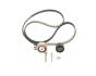 К-кт ГРМ Fiat Doblo 1.6 D/ 1.6 D Multijet, Opel Combo 1.6 CDTI 10- BOSCH 1 987 948 961 (фото 1)