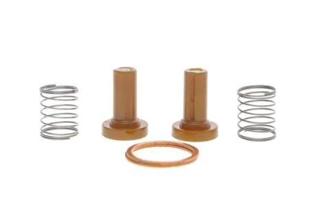 Ремкомплект насоса руч.подкачки топлива (2 пруж., 2 кольца, 2 корп. клапана) BOSCH 2 447 010 011