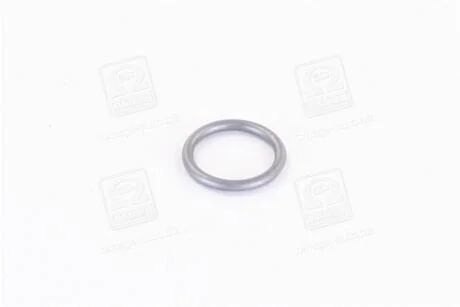 Кольцо уплотнительное форсунки 1.5x10mm VW - Audi BOSCH 3 430 210 603 (фото 1)