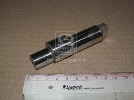 Ексцентриковий вал BOSCH F 01M 100 285 (фото 1)