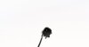 Датчик ABS MITSUBISHI Lancer/Outlander &quot;RR &quot;2,0-3,0 &quot;06&gt;&gt; BREMI 50881 (фото 2)
