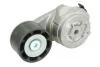 Натягувач поліклинового ременя MASSEY FERGUSON 5000, 6000, 7000 6.6 01.03-12.12 BTA B05-AG-125 (фото 1)