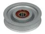 Ролик поліклинового ременя NISSAN CABSTAR, CARAVAN, MURANO II, NAVARA NP300, PATHFINDER III, STAGEA 2.0/2.5/2.5D 09.96- BTA E21009BTA (фото 2)
