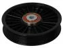 Ролик ременя генератора OPEL ASTRA J, ASTRA J GTC, INSIGNIA A, MOVANO A, SIGNUM, VECTRA C, VECTRA C BTA E2X0000BTA (фото 1)