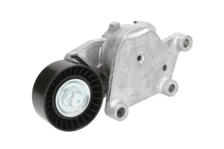 Натягувач ременя генератора (60x25) Citroen/Peugeot/Ford 1.4HDi/1.6TDCi 01- BTA E3P0001BTA