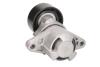 Ролик (с мех.) натяжной ремня генератора Renault K4M/K4J/F4P/F4R +AC 60x25.5 BTA E3R0001BTA (фото 2)