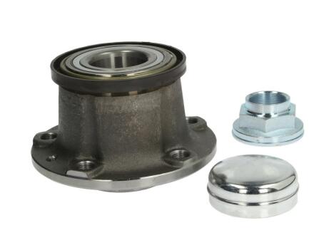 Комплект подшиников задний Citroen Jumper 06- BTA H2C023BTA