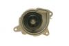 Помпа системи охолодження Audi A3/Skoda Fabia/Rapid/Octavia/VW Caddy/Golf/Polo 1.2TSI 10- (B/B)(7 ло BUGATTI PA10165 (фото 2)