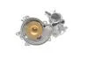 Помпа системи охолодження BMW (E53) X5 4.4i/4.8is/5 (E60-61) 545i/6 (E63-64) 645ci/7 (E65-67) 01-10 BUGATTI PA10206 (фото 2)