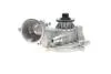 Помпа системи охолодження BMW (E53) X5 4.4i/4.8is/5 (E60-61) 545i/6 (E63-64) 645ci/7 (E65-67) 01-10 BUGATTI PA10206 (фото 8)