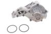 AUDI Помпа воды с корпусом! А4 1.6 -1.8/1.8 quattro, VW Passat 1.6-1.8 97- BUGATTI PA 5107 (фото 1)