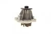 Помпа системи охолодження Ford Escort VI/VII/Scorpio I/II/Sierra II 2.0i/2.0 16V/RS2000 87-06 (R/B) BUGATTI PA6007 (фото 4)
