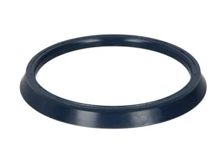 1652622 сальник вала КПП (90х111х6/8) C.E.I 139561