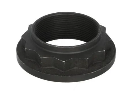 Гайка хвостовика зад. моста Mercedes, MAN C.E.I 187250