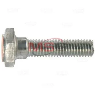 Болт с шестигранной головкой,контакт втягивающего реле CARGO 133572