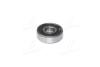 Подшипник генератора 10x30x9 (6200-2RS1/C3) CARGO 333091 (фото 1)