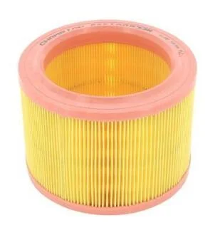 Фільтр повітряний Citroen Berlingo / Xsara / Bx / C15 / Zx / Peugeot 205 / 305 / 306 / Partner CHAMPION CAF100233R
