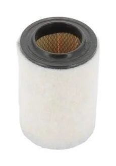 Фільтр повітряний Alfa Romeo Giulietta CHAMPION CAF100496R