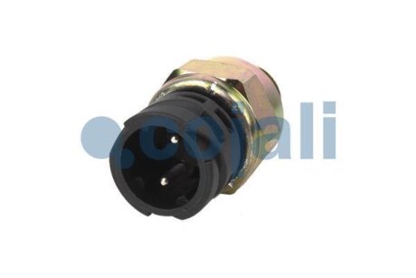 Датчик блокування заднього моста COJALI 2260336