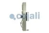 Вентилятор, система охолодження двигуна COJALI 7065411 (фото 2)