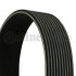 Ремінь (поліклиновий) CONTI Multi V-Belt Contitech 10 PK 1705 (фото 1)
