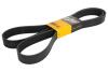 Ремінь (поліклиновий) CONTI Multi V-Belt Contitech 10 PK 2210 (фото 1)