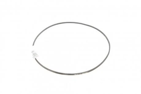 Ремінь поліклиновий Contitech 2PJ800