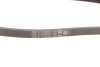 Ремень поликлиновый FORD ESCORT/FIESTA 1990-2001 Contitech 3PK675 (фото 3)