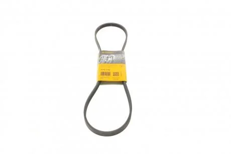 Ремінь генератора Croma/Almera/Hiace IV -06 Contitech 4PK1100