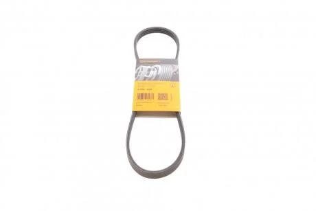 Пас поліклиновий Nissan Primera/Micra/Note 1.2-2.0 Contitech 4PK830