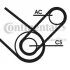 Комплект поліклинових ременів Contitech 4PK874 ELAST T1 (фото 1)