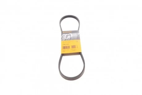 Ремінь генератора поліклиновий Contitech 4PK875