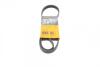 Поліклиновий ремінь CITROEN AX, SAXO PEUGEOT 106 I, 106 I/HATCHBACK, 106 II, 106 II/HATCHBACK RVI PREMIUM 1.0-9.8D 07.86- Contitech 5PK1020 (фото 1)