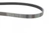 Поліклиновий ремінь CITROEN AX, SAXO PEUGEOT 106 I, 106 I/HATCHBACK, 106 II, 106 II/HATCHBACK RVI PREMIUM 1.0-9.8D 07.86- Contitech 5PK1020 (фото 2)