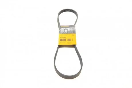 Ремінь генератора поліклиновий Contitech 5PK1060