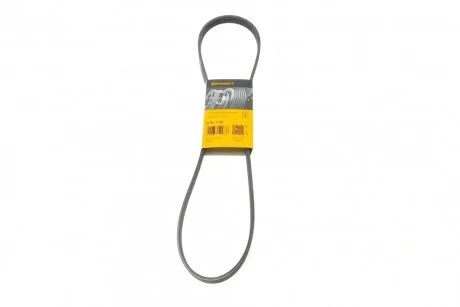 Ремінь генератора поліклиновий Contitech 5PK1145