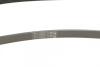 Поликлиновый ремень Daewoo:Espero/Renault:Megane Contitech 5 PK 1260 (фото 5)