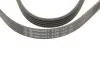Пас привідний з довжиною кола понад 240см Contitech 5 PK 1441 (фото 5)