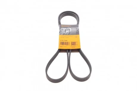 Ремінь генератора поліклиновий Contitech 5PK1646