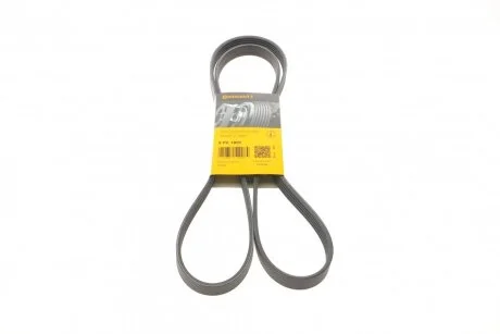 Ремень генератора Hyundai Accent/Kia Rio 1.5 CRDi 05- Contitech 5PK1800